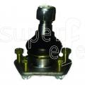 AUTOMOTORES ROTULAS